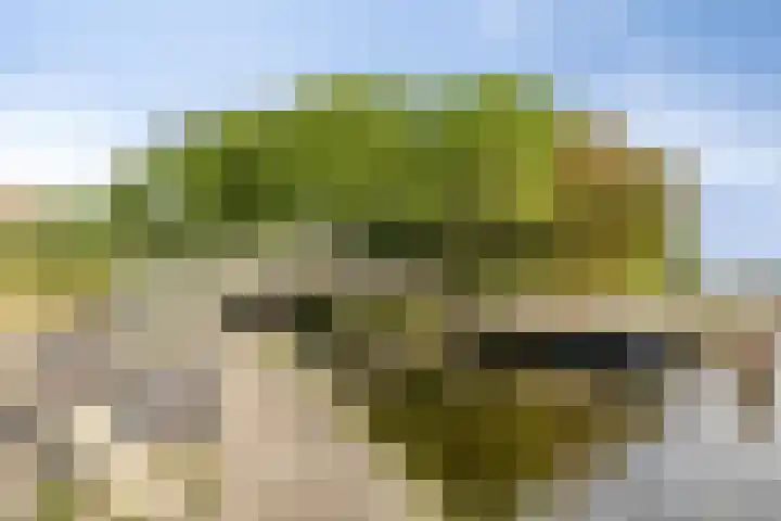 Alexander Dubčekplaats 22 Leiden thumbnail 34