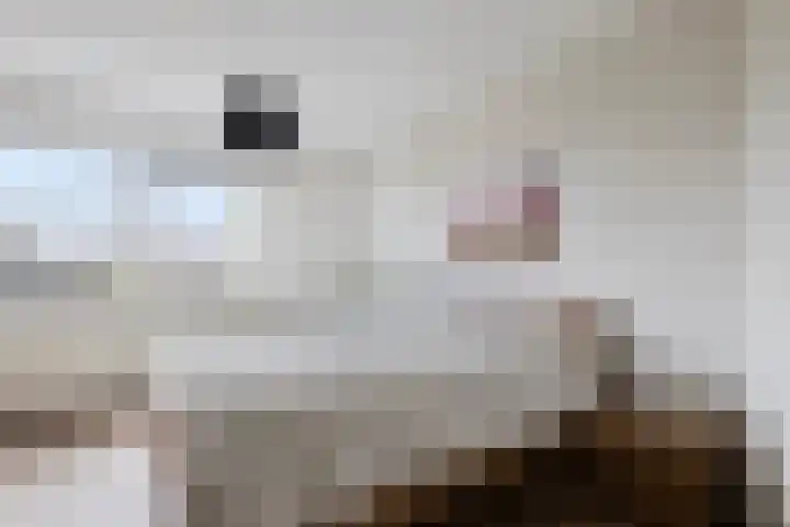 Alexander Dubčekplaats 33 Leiden thumbnail 21