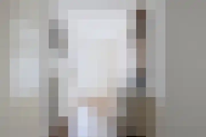 Alexander Dubčekplaats 33 Leiden thumbnail 4