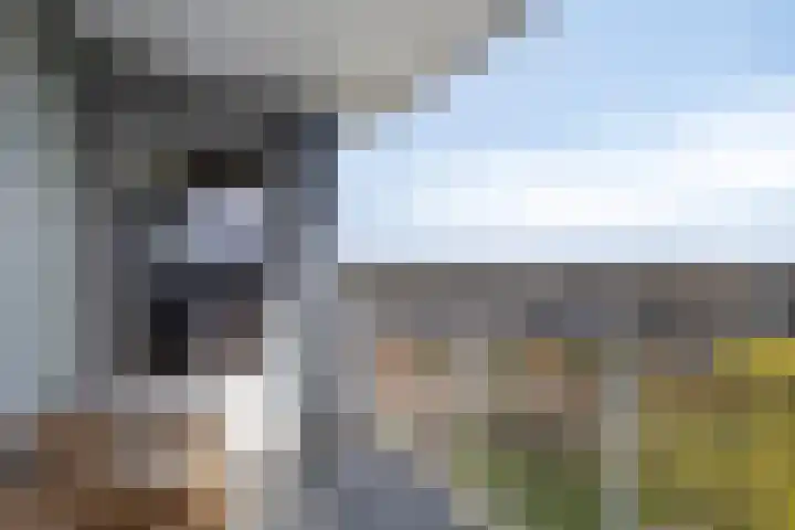 Alexander Dubčekplaats 33 Leiden thumbnail 9