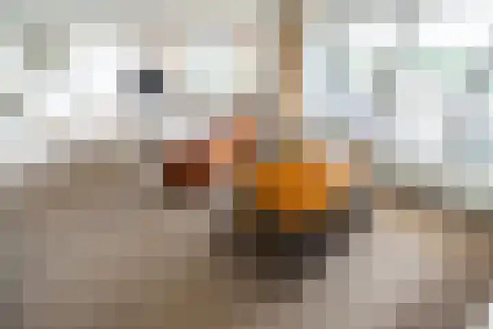 Alexander Dubčekplaats 35 Leiden thumbnail 4