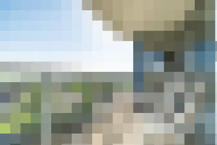Alexander Dubčekplaats 35 Leiden thumbnail 8