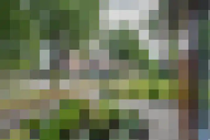 Alexander Dubcekweg 141 Assen thumbnail 11