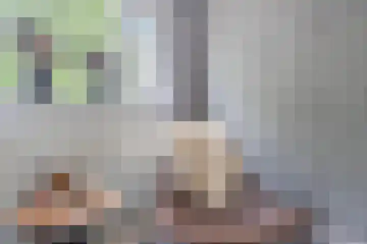 Alexander Dubcekweg 141 Assen thumbnail 34