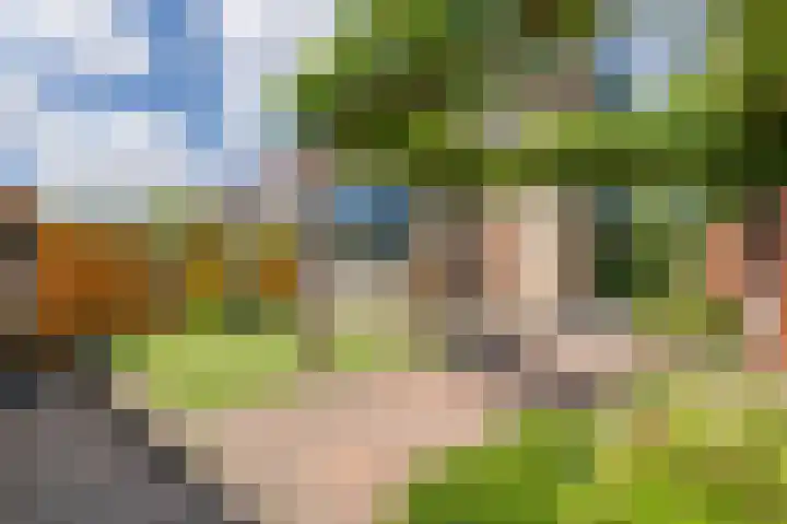 Alexander Dubcekweg 141 Assen thumbnail 49