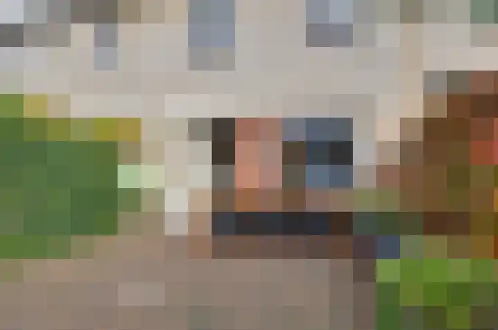 Alexander Dubcekweg 153 Assen thumbnail 23