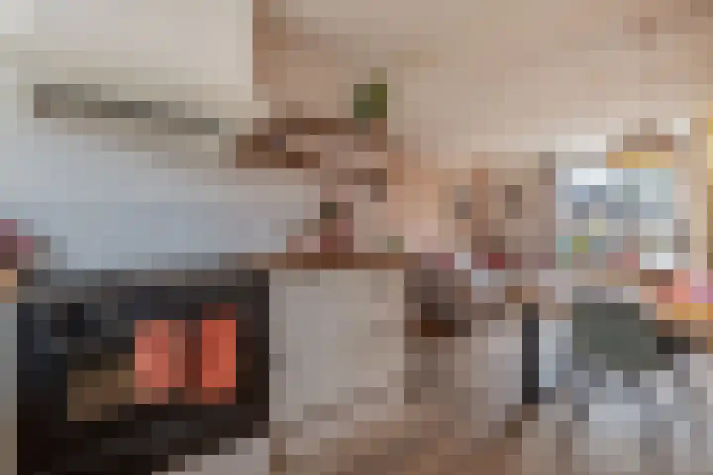 Alexander Dubcekweg 161 Assen thumbnail 19