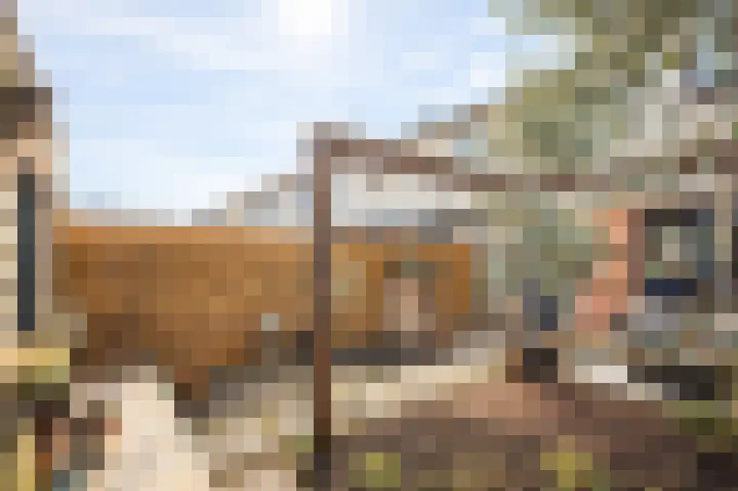 Alexander Dubcekweg 161 Assen thumbnail 34