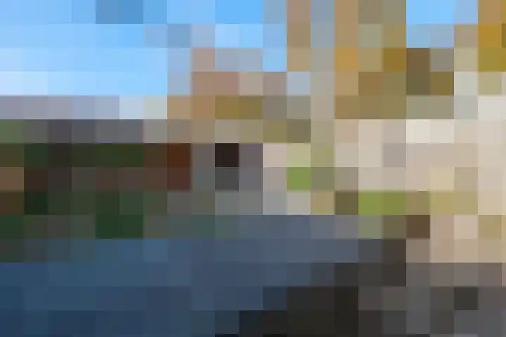 Alexander Dubcekweg 29 Assen thumbnail 25