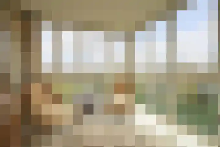 Alexander Gogelweg 18 D Den Haag thumbnail 13
