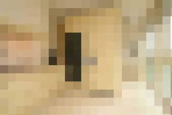 Alexander Gogelweg 18 D Den Haag thumbnail 17
