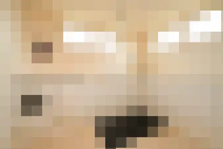 Alexander Gogelweg 18 D Den Haag thumbnail 20
