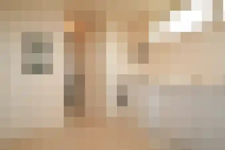 Alexander Gogelweg 18 D Den Haag thumbnail 21