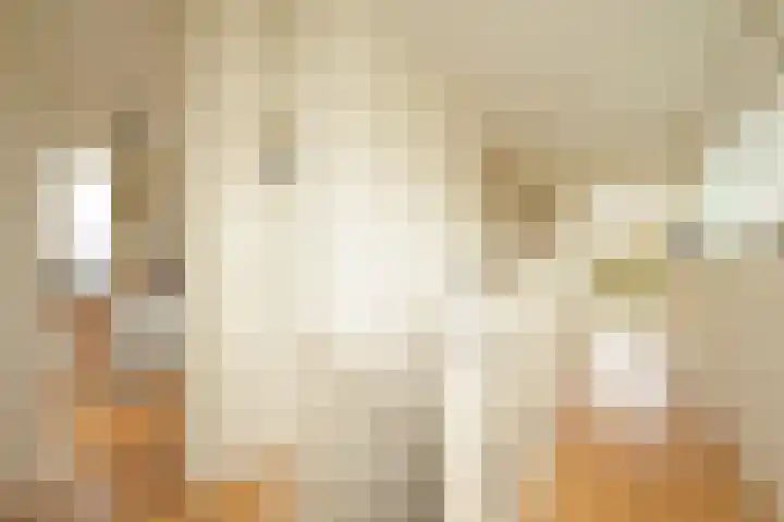 Alexander Gogelweg 18 D Den Haag thumbnail 33