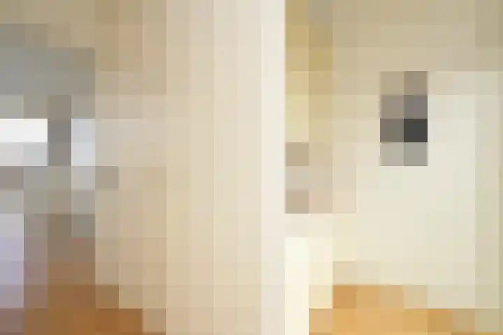 Alexander Gogelweg 18 D Den Haag thumbnail 39