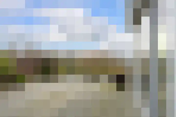 Alexander Gogelweg 18 D Den Haag thumbnail 45