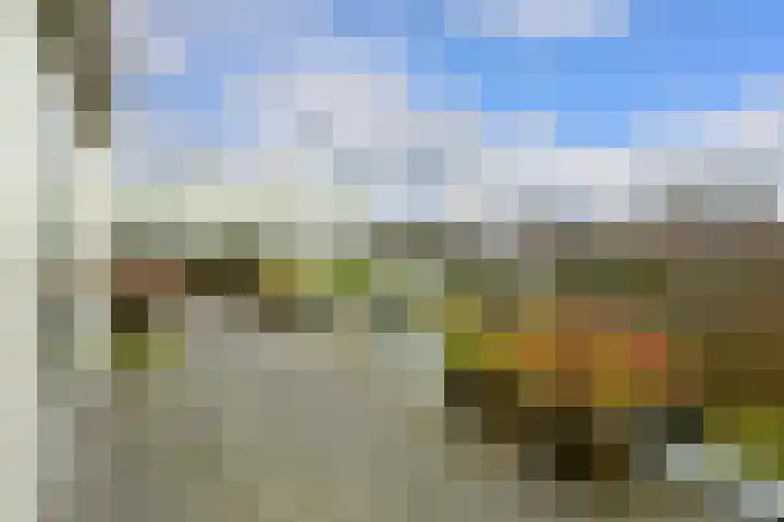 Alexander Gogelweg 18 D Den Haag thumbnail 48