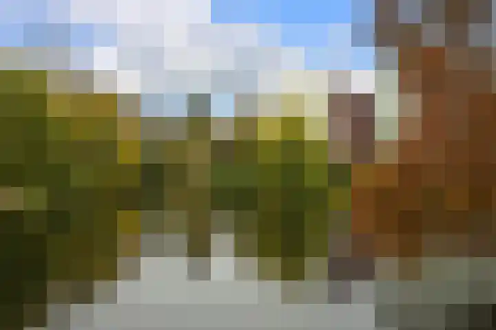 Alexander Gogelweg 18 D Den Haag thumbnail 56