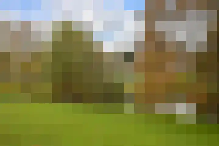 Alexander Gogelweg 18 D Den Haag thumbnail 57