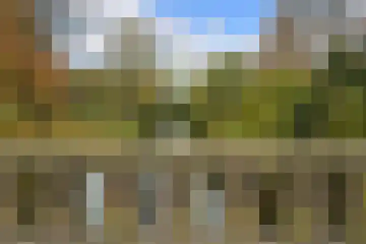 Alexander Gogelweg 18 D Den Haag thumbnail 58