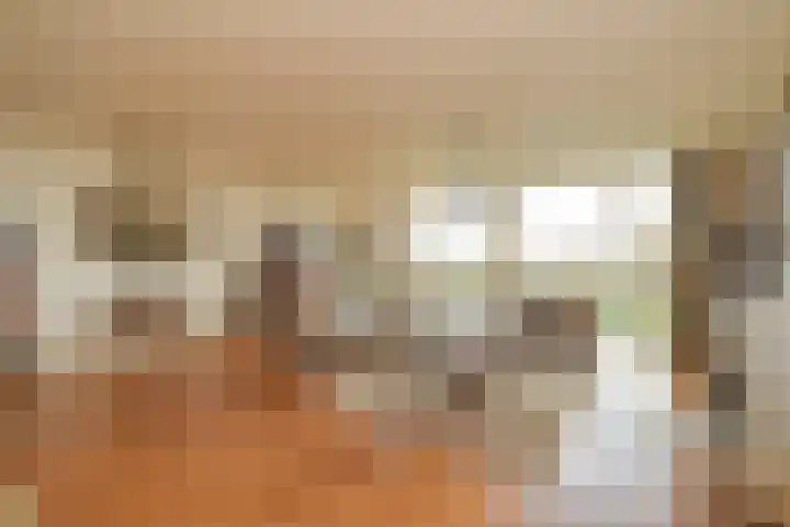 Alexander Gogelweg 18 D Den Haag thumbnail 6