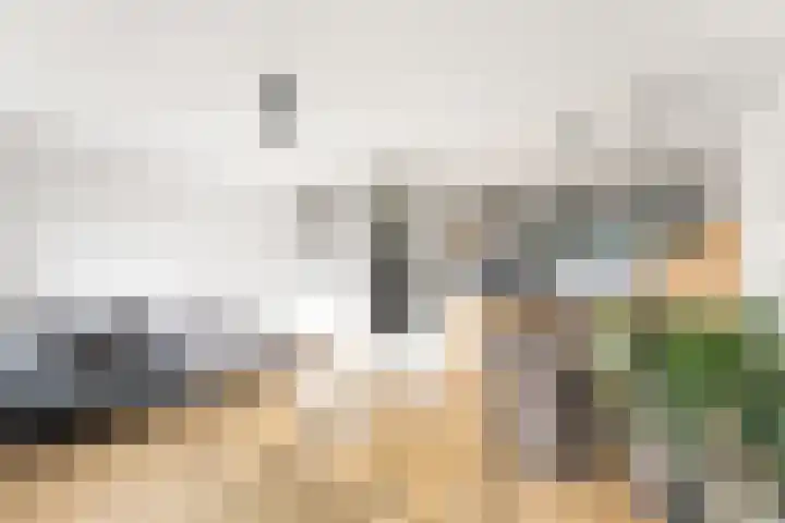 Alexander Gogelweg 21 Vlissingen thumbnail 11