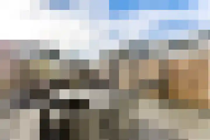 Alexander Gogelweg 21 Vlissingen thumbnail 18