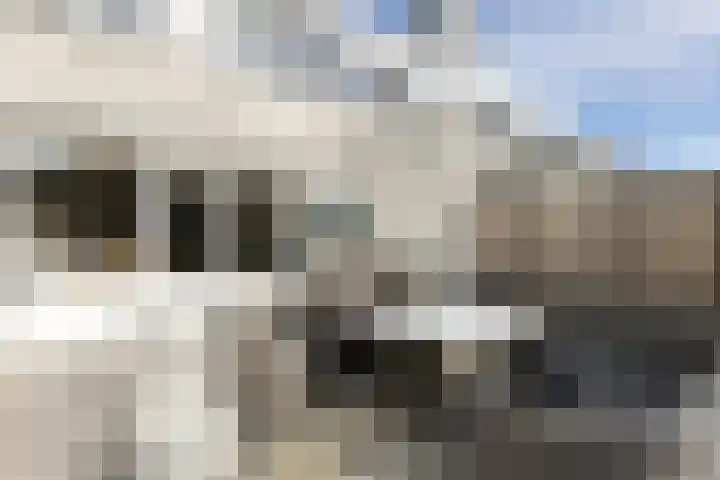 Alexander Gogelweg 21 Vlissingen thumbnail 23