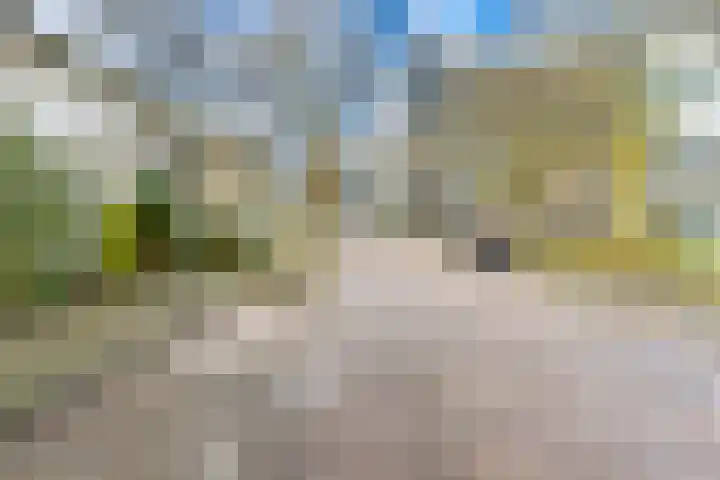 Alexander Gogelweg 21 Vlissingen thumbnail 4