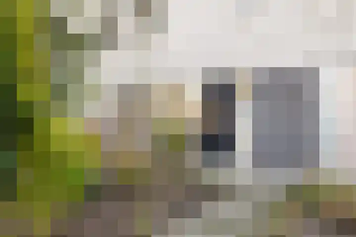 Alexander Gogelweg 21 Vlissingen thumbnail 5