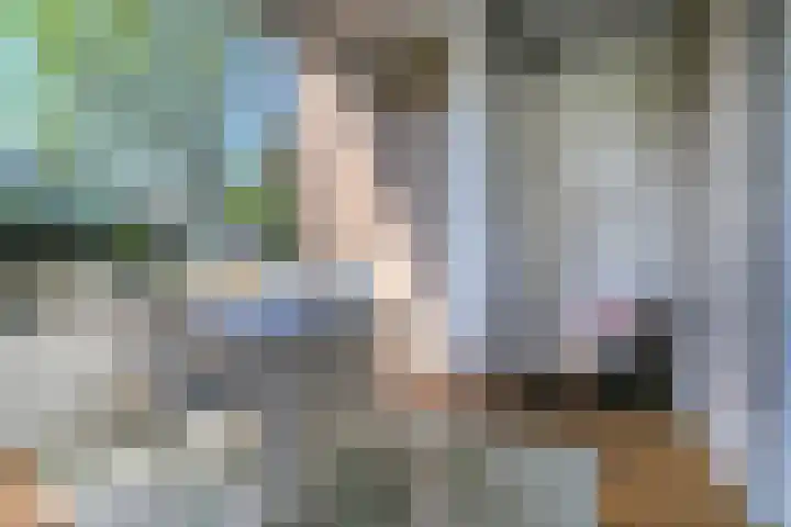 Alexander Gogelweg 27 Den Haag thumbnail 10