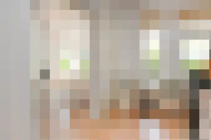 Alexander Gogelweg 27 Den Haag thumbnail 14