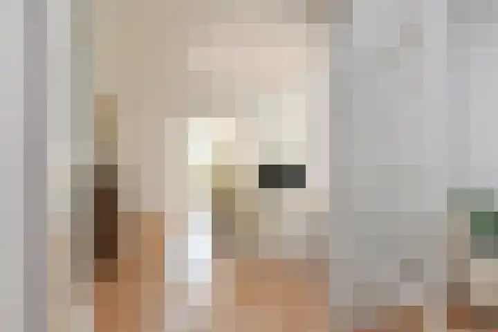 Alexander Gogelweg 27 Den Haag thumbnail 15
