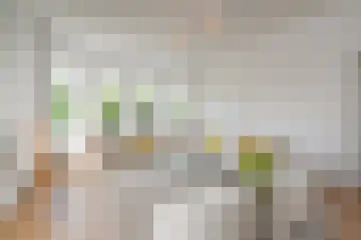 Alexander Gogelweg 27 Den Haag thumbnail 16