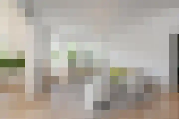 Alexander Gogelweg 27 Den Haag thumbnail 17