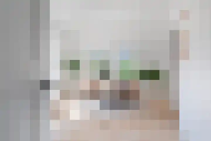 Alexander Gogelweg 27 Den Haag thumbnail 18