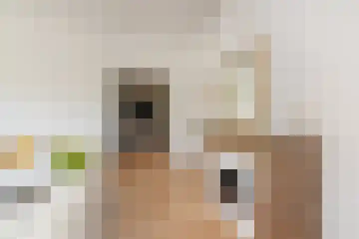 Alexander Gogelweg 27 Den Haag thumbnail 26