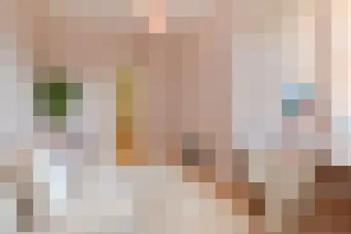 Alexander Gogelweg 27 Den Haag thumbnail 41