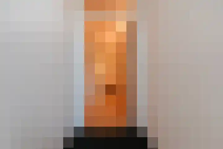 Alexander Gogelweg 27 Den Haag thumbnail 50