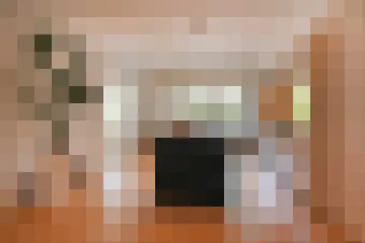 Alexander Gogelweg 27 Den Haag thumbnail 6