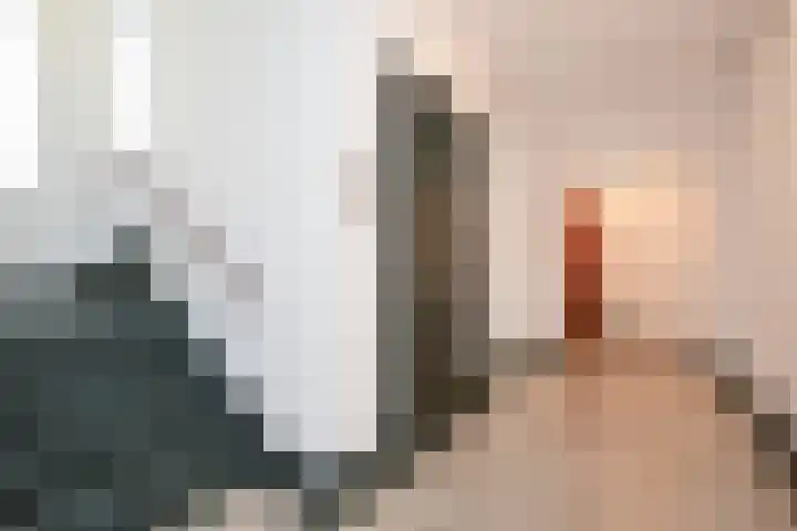 Alexander Gogelweg 33 Den Haag thumbnail 15