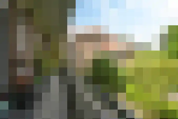 Alexander Gogelweg 33 Den Haag thumbnail 51