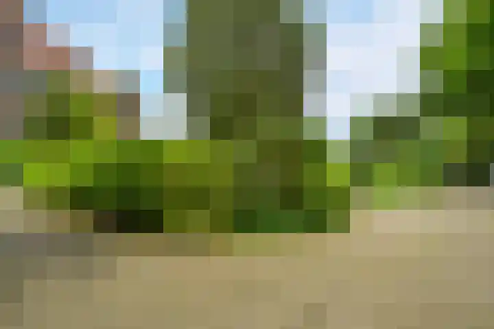Alexander Gogelweg 33 Den Haag thumbnail 54
