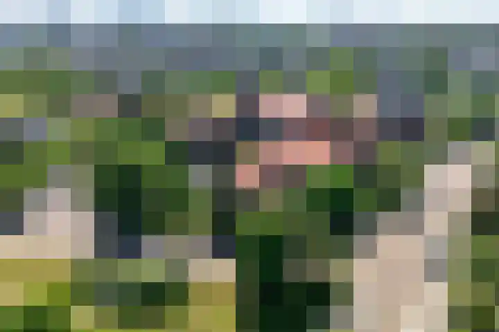 Alexander Gogelweg 33 Den Haag thumbnail 62