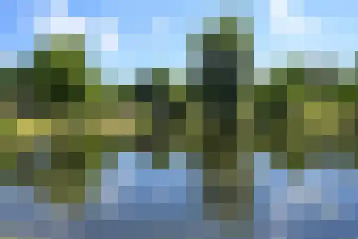 Alexander Gogelweg 33 Den Haag thumbnail 63