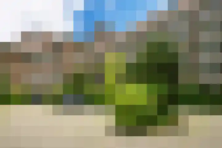 Alexander Gogelweg 33 Den Haag thumbnail 7
