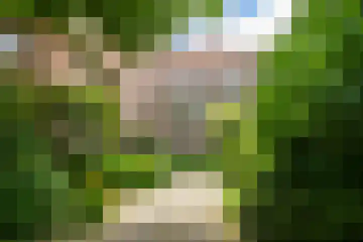 Alexander Gogelweg 33 Den Haag thumbnail 9