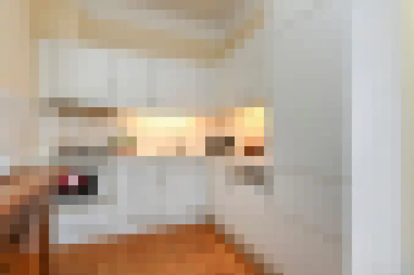 Alexander Gogelweg 65 Den Haag thumbnail 7