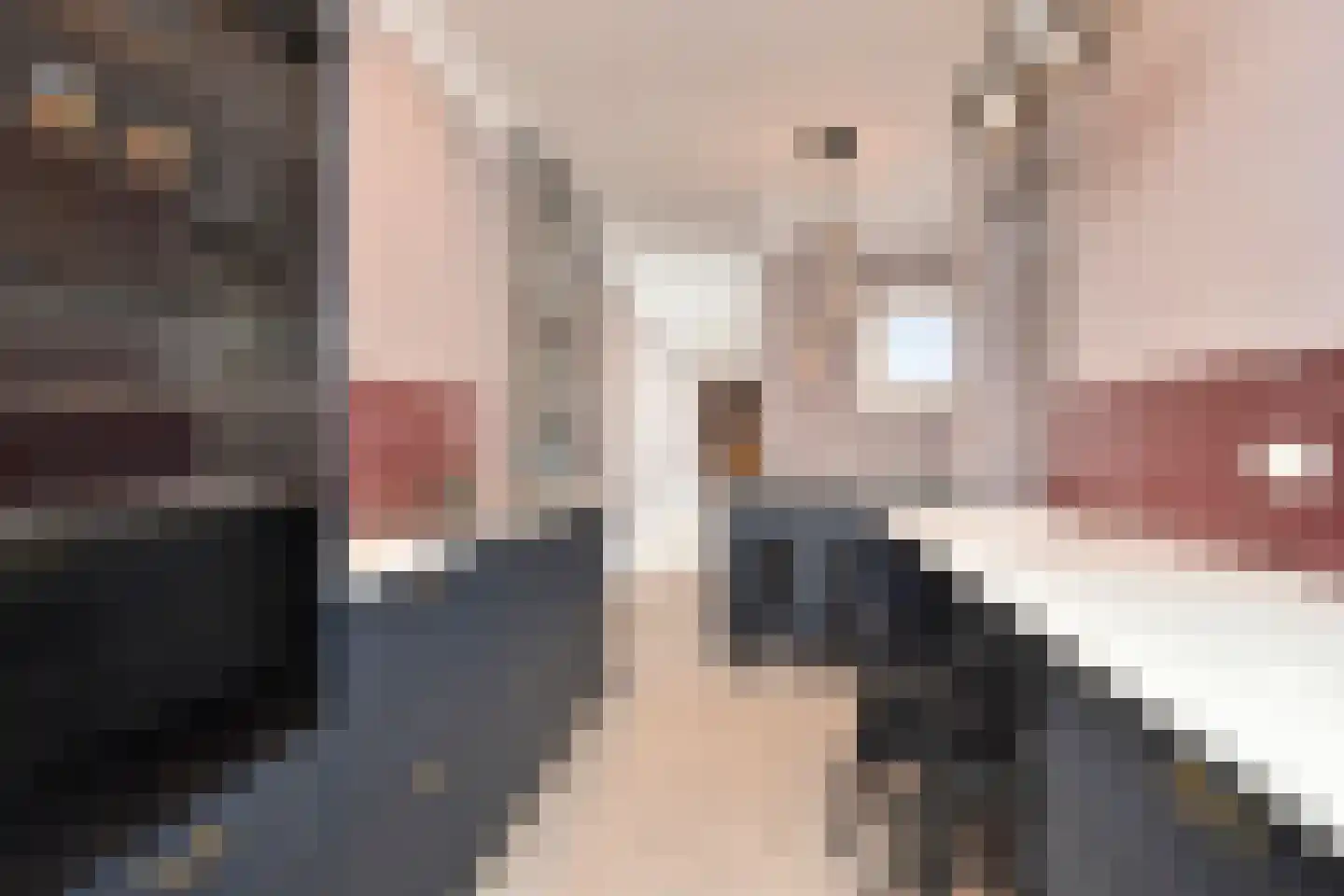 Alexander Gogelweg 69 Den Haag thumbnail 11