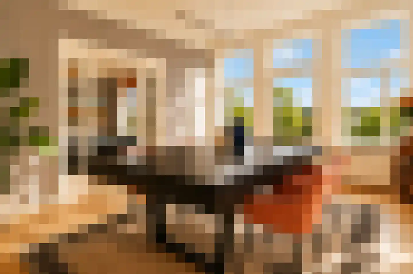 Alexander Gogelweg 69 Den Haag thumbnail 12
